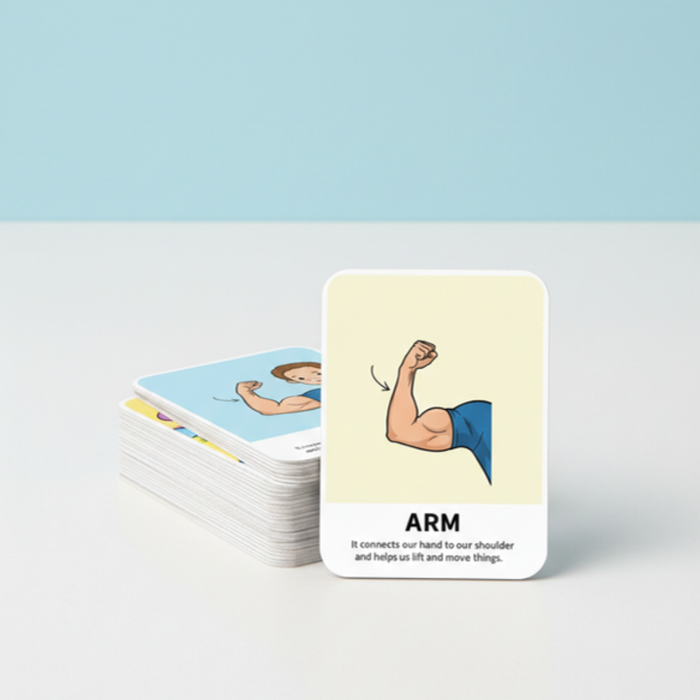 Body Parts Flash Cards for Kids – Early Learning Educational Cards with Bright Images