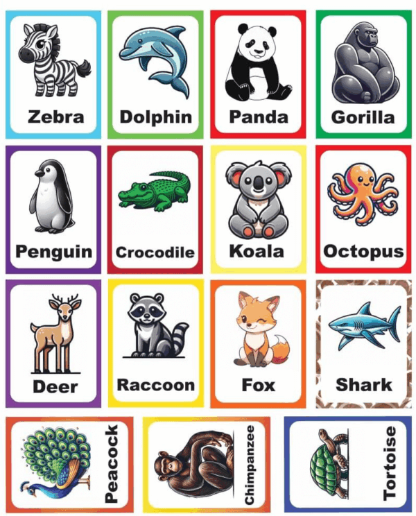Animal Flash Cards - Image 4