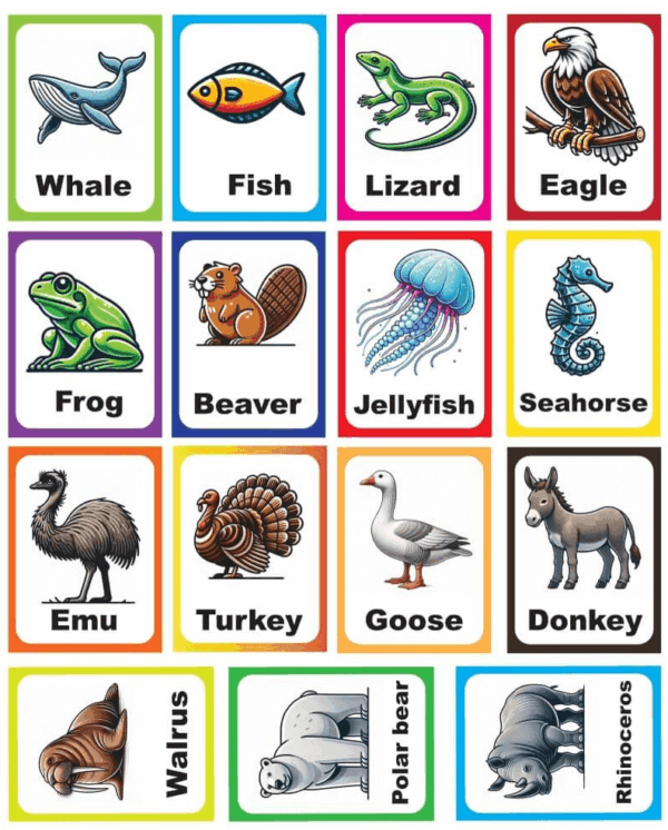 Animal Flash Cards - Image 2