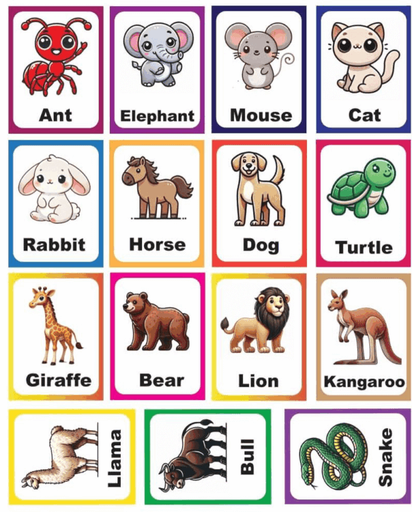 Animal Flash Cards - Image 3