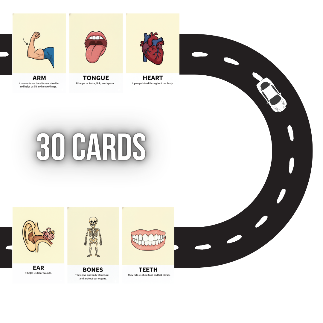 Body parts Learning Flash Cards for Kids – Early Concepts, Bright Images & Easy Learning
