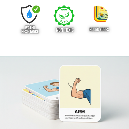 Body parts Learning Flash Cards for Kids – Early Concepts, Bright Images & Easy Learning