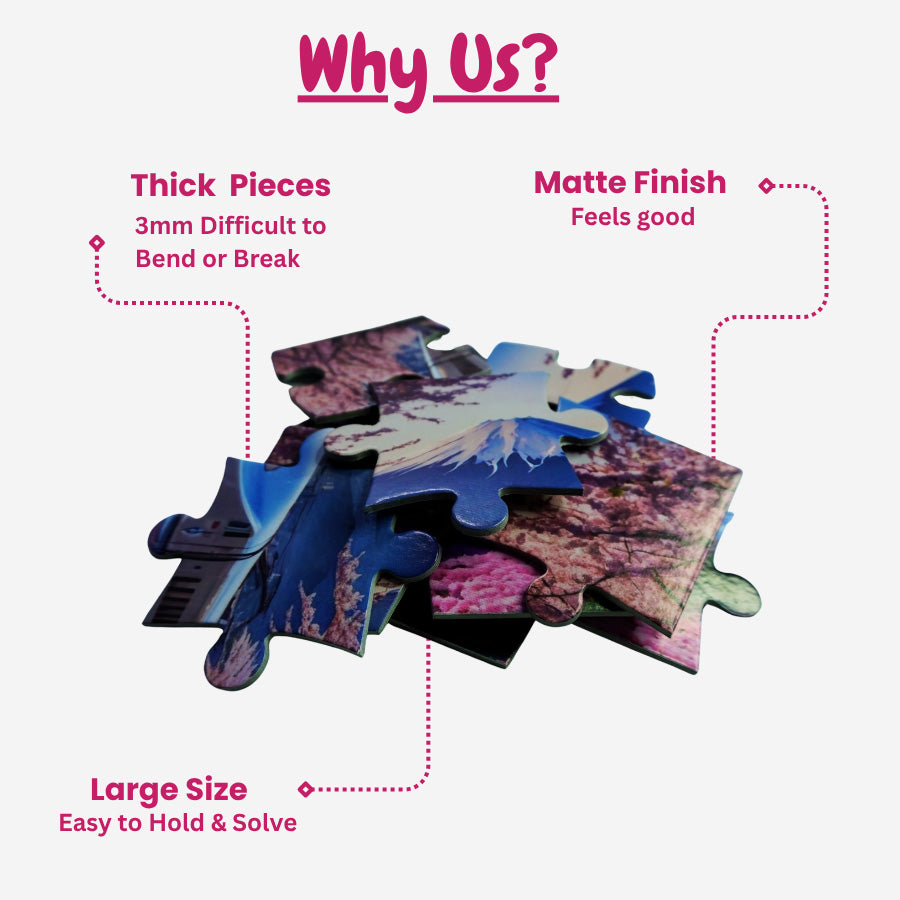 Jigsaw puzzle with features highlighted on a white background